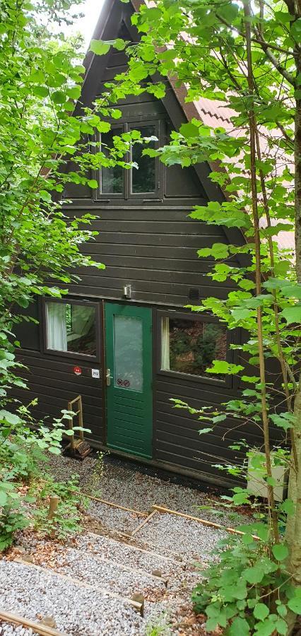 Boshuisje Durbuy Met Zwembad Op Het Park Exterior photo